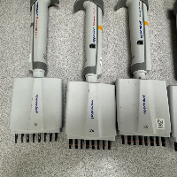 Eppendorf Research Plus Multichannel Pipettes image 0